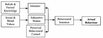Figure 6: The Planned Behaviour Theory (Ajzen, 1993) 